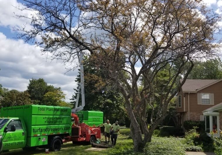 Germantown-WI-tree-services