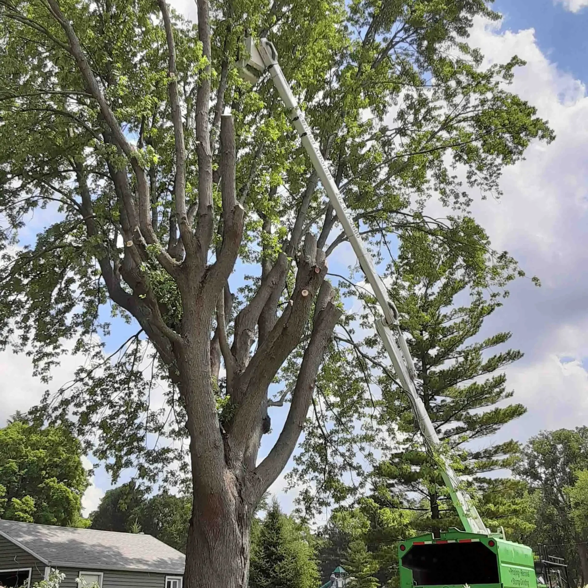 West Bend, WI Tree Services